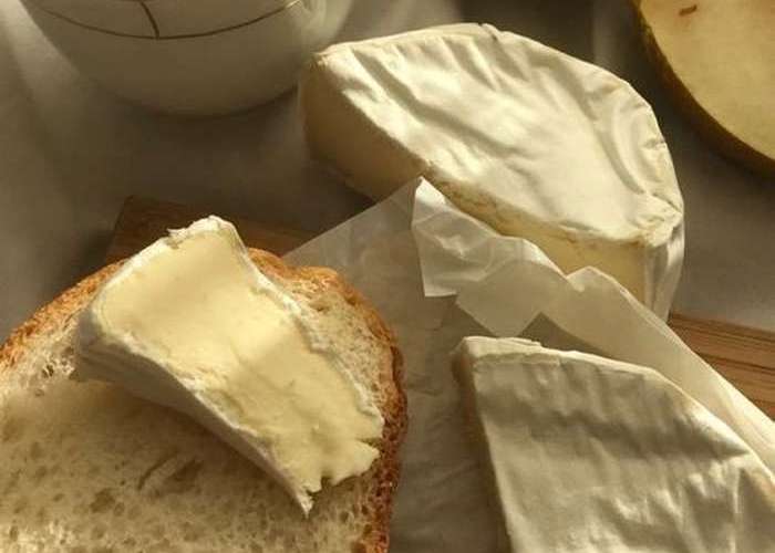 Блюда из сыра и молочных продуктов