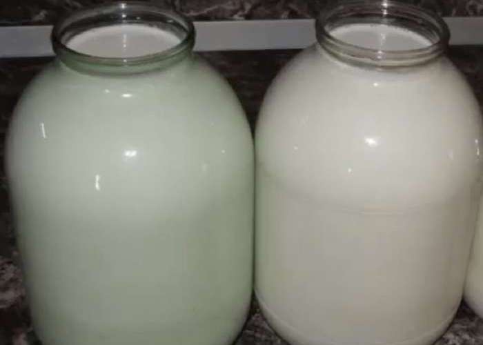 Разлейте свежее молоко по 2 трехлитровым банкам, добавьте в каждую по половине стакана сыворотки.