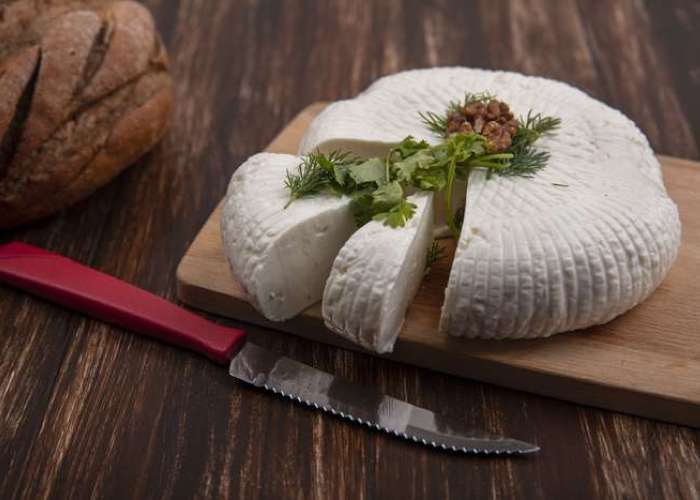 Домашний сыр из козьего молока — рецепты с пошаговыми фото и видео