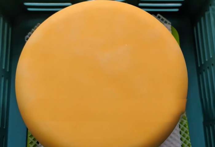Извлеките сыр из рассола, высушите его бумажным полотенцем и обсушивать при +10..+14 5-6 дней, до сухой корочки. Переворачивайте сыр дважды в день.