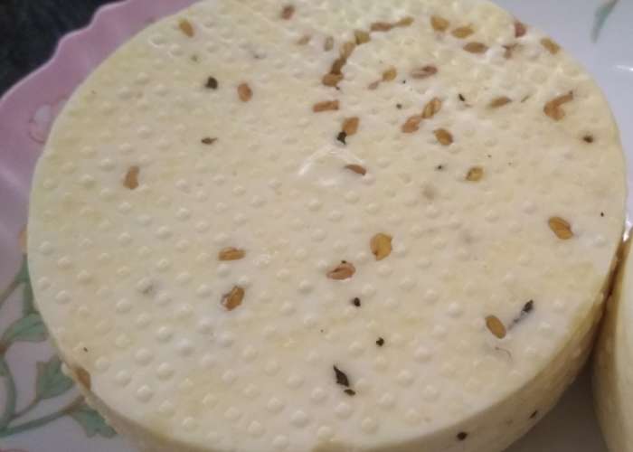 Рецепт сыра Качотта в домашних условиях — готовый продукт 2