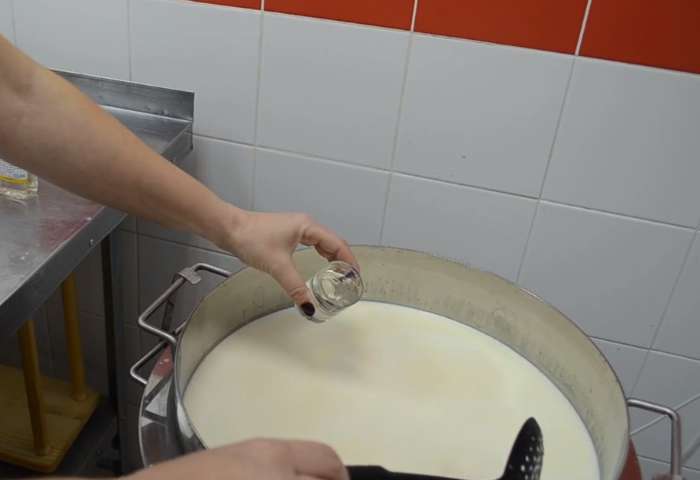Измерить температуру молока (+37°C). При необходимости подогреть до нужной температуры. Внести фермент, разведенный в теплой воде (+30°C). Перемешать и остановить молоко.
