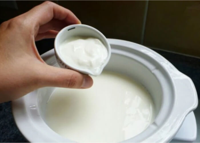 Убедившись, что молоко в кастрюльке достигло рабочей температуры, добавьте в него разведенную закваску и тщательно размешайте.  На этом этапе можно использовать блендер, только работать он должен на низкой скорости.